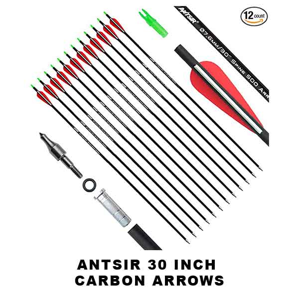 ANTSIR 30 Inch Carbon Arrows