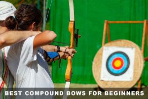 Best Compound Bows For Beginners – Top Picks & Buying Guide