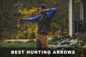 12 Best Hunting Arrows – Reviews & Buying Guide